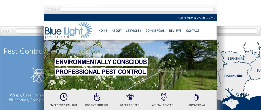 Pest control website designer